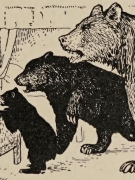 حين تعود الدببة: عن الانهيار الحضاري&nbsp;الوشيك