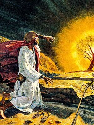 رحلة إلى شاطئ الوادي الأيمن في البقعة المباركة من&nbsp;الشجرة